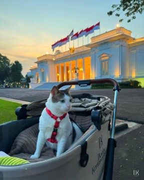 Bobby Kertanegara dengan stroller di depan Istana. (Instagram)